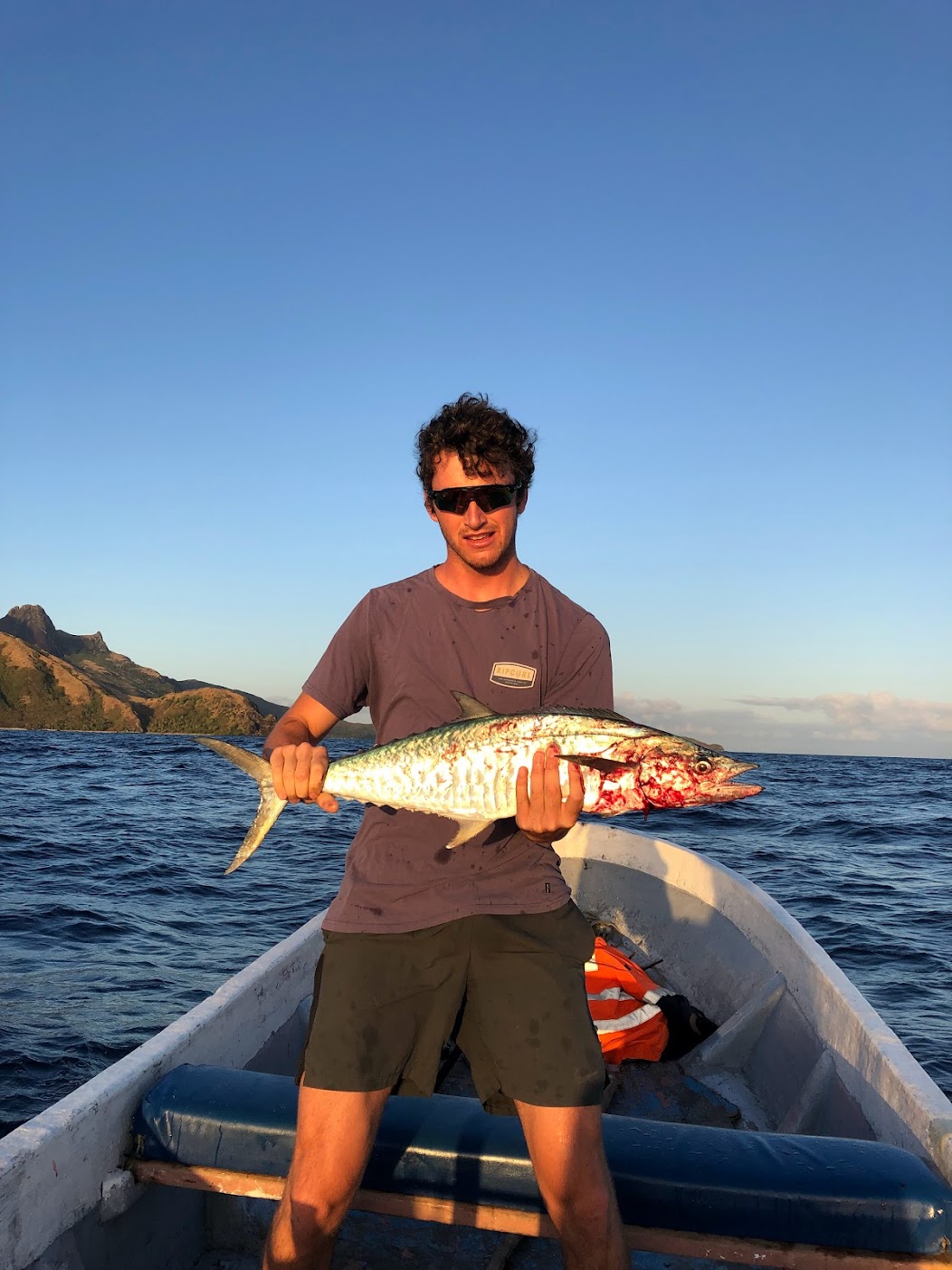 fijiFish.jpg